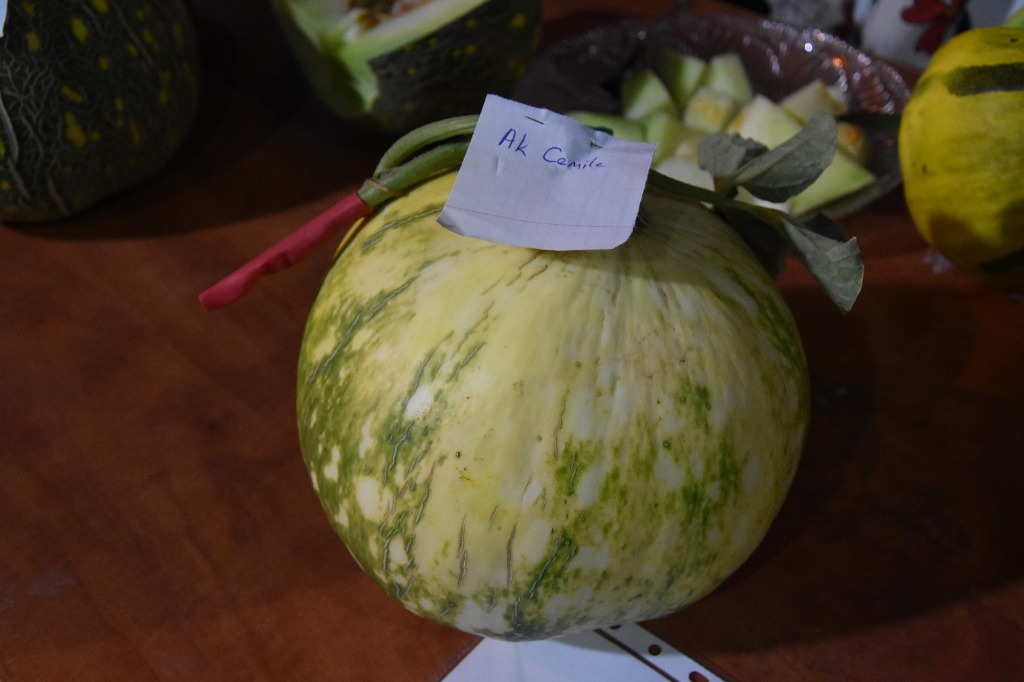 karahallı düylek